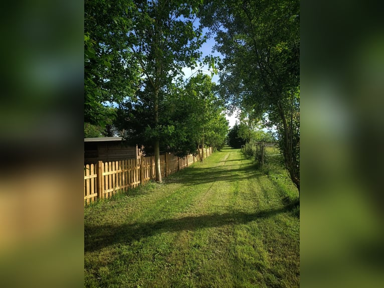 Equestrian property in Italy close to Po Delta Park and 30 minutes to the beach 