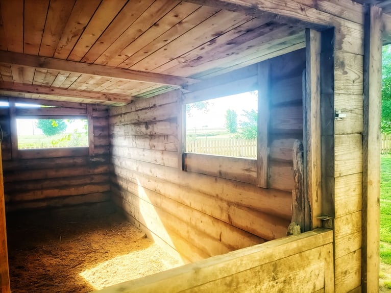 Equestrian property in Italy close to Po Delta Park and 30 minutes to the beach 