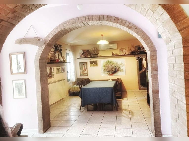 Equestrian property in Italy close to Po Delta Park and 30 minutes to the beach 