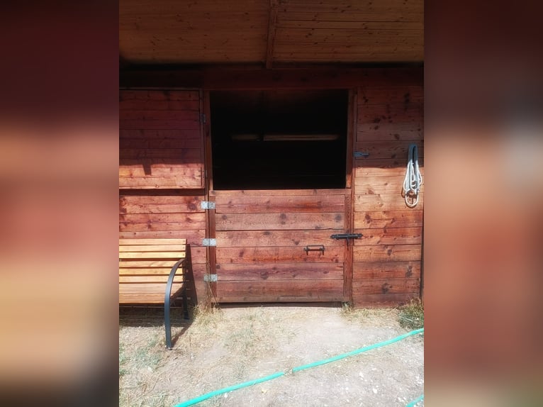 Equestrian property in Italy close to Po Delta Park and 30 minutes to the beach 