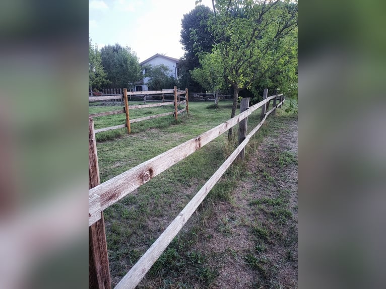 Equestrian property in Italy close to Po Delta Park and 30 minutes to the beach 