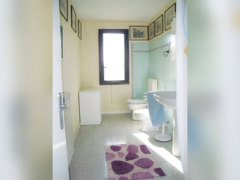 Equestrian property in Italy close to Po Delta Park and 30 minutes to the beach 