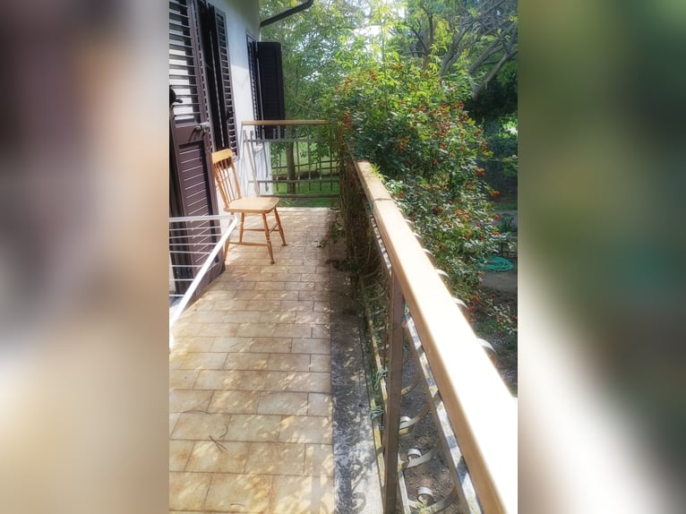 Equestrian property in Italy close to Po Delta Park and 30 minutes to the beach 