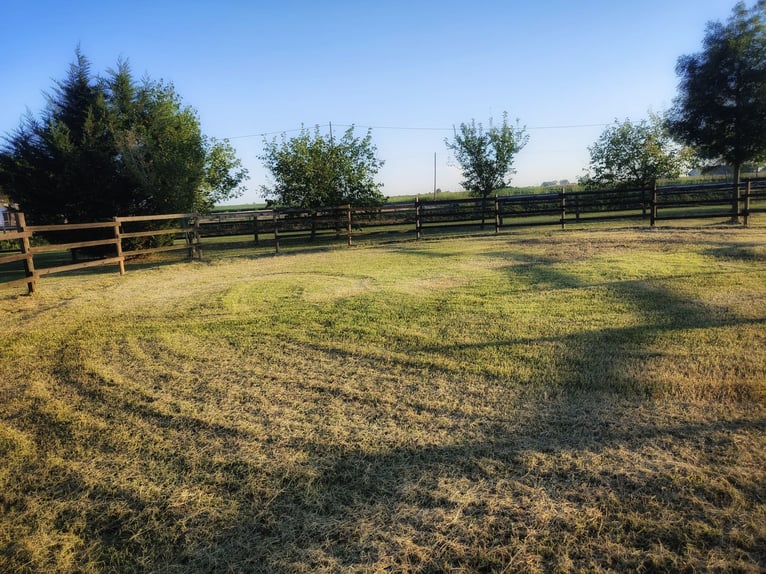 Equestrian property in Italy close to Po Delta Park and 30 minutes to the beach 