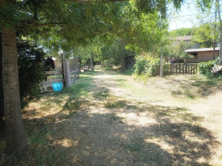 Equestrian property in Italy close to Po Delta Park and 30 minutes to the beach 