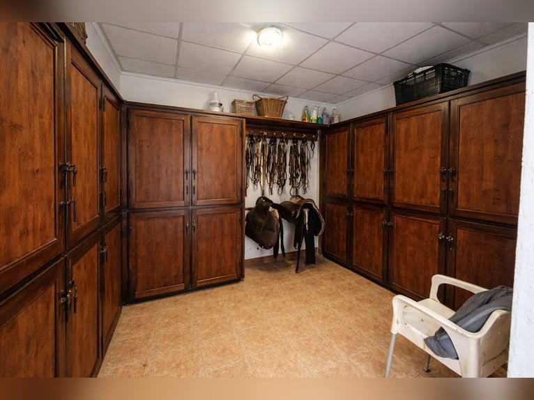 Equestrian property in La Marina, Alicante, close to the beach