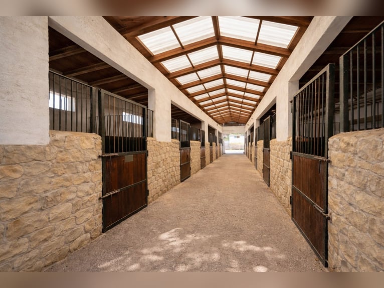 Equestrian property in La Marina, Alicante, close to the beach