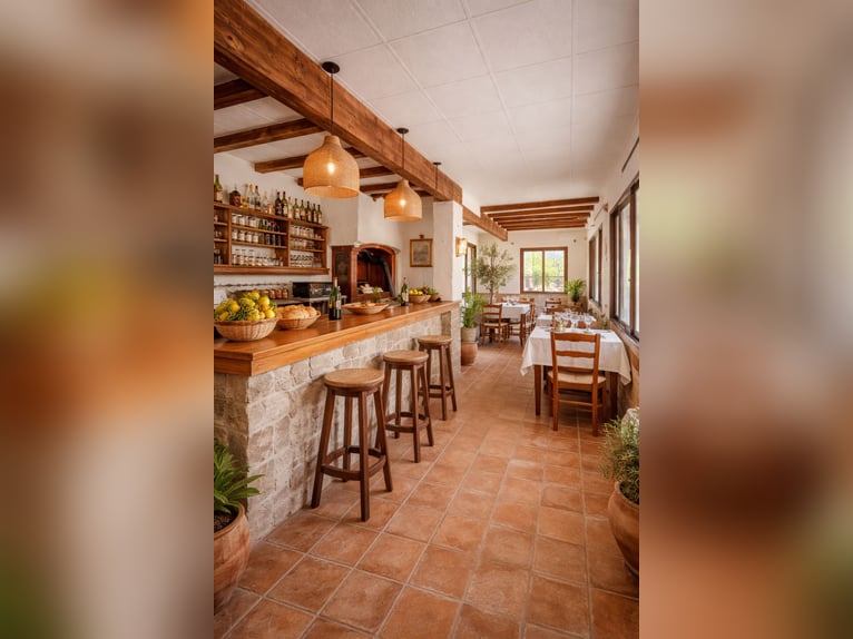 Equestrian property in La Marina, Alicante, close to the beach