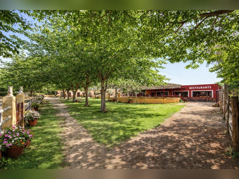 Equestrian property in La Marina, Alicante, close to the beach