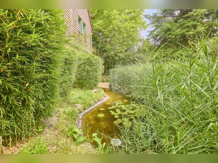 Equestrian property in the Odenwald featuring two residential houses and space for 5-10 horses!