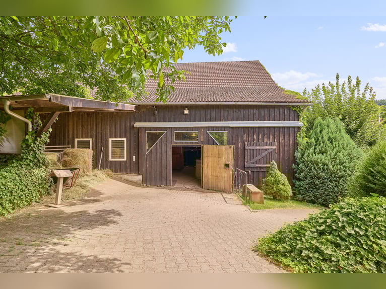 Equestrian property in the Odenwald featuring two residential houses and space for 5-10 horses!