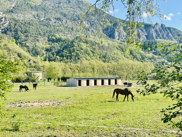 Equestrian property with 7 hectares of flat land – Villa plus apartment – 16 boxes – 45 minutes from