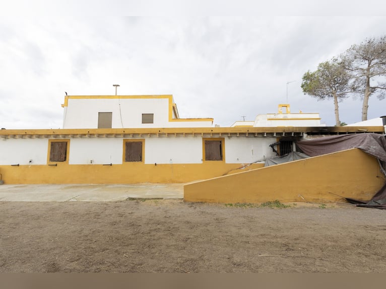 Equestrian property with a chalet for sale near Valencia