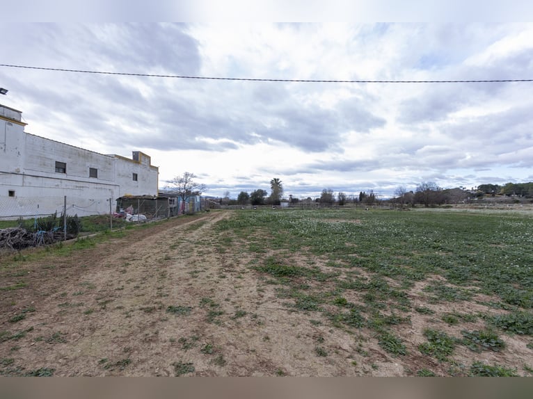 Equestrian property with a chalet for sale near Valencia