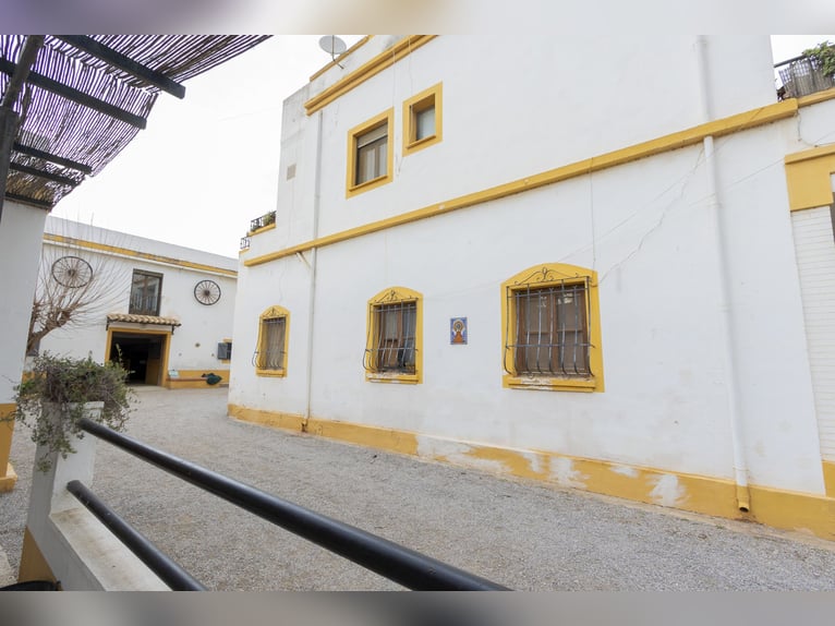 Equestrian property with a chalet for sale near Valencia