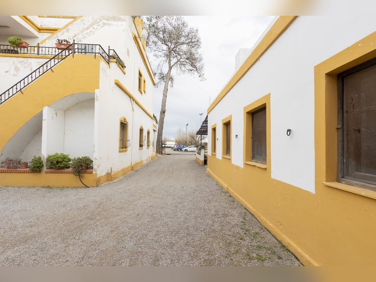 Equestrian property with a chalet for sale near Valencia
