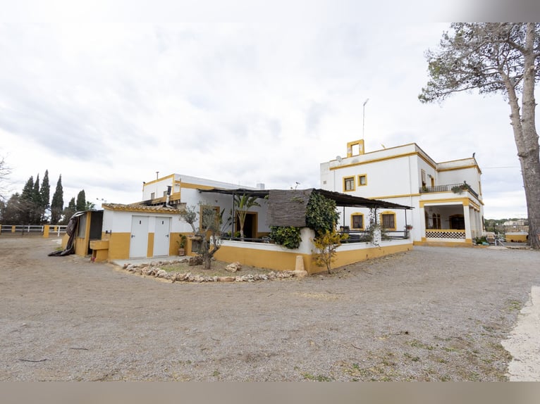 Equestrian property with a chalet for sale near Valencia