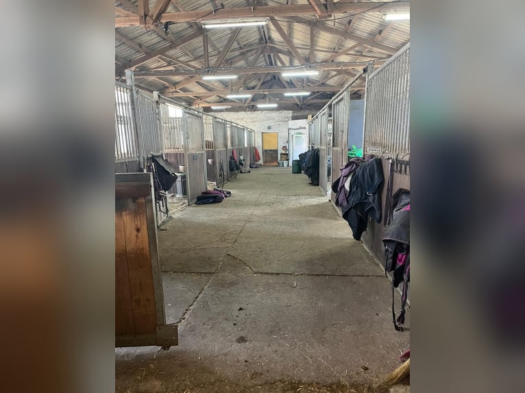 Equestrian property with a large residence and development potential