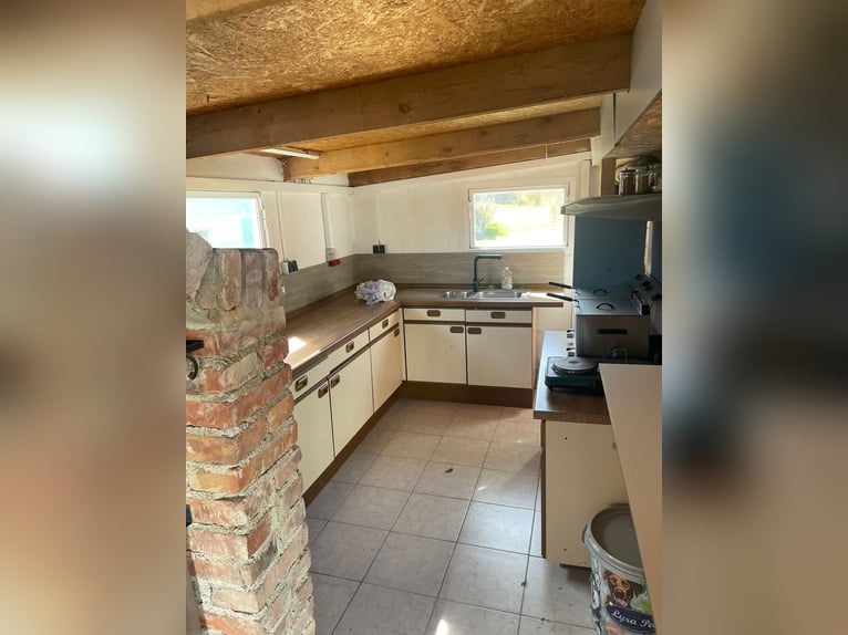 Equestrian property with a large residence and development potential