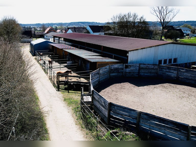Equestrian property with a large residence and development potential