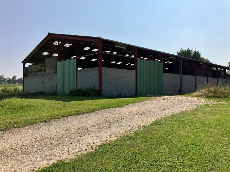 Equestrian property with great potential