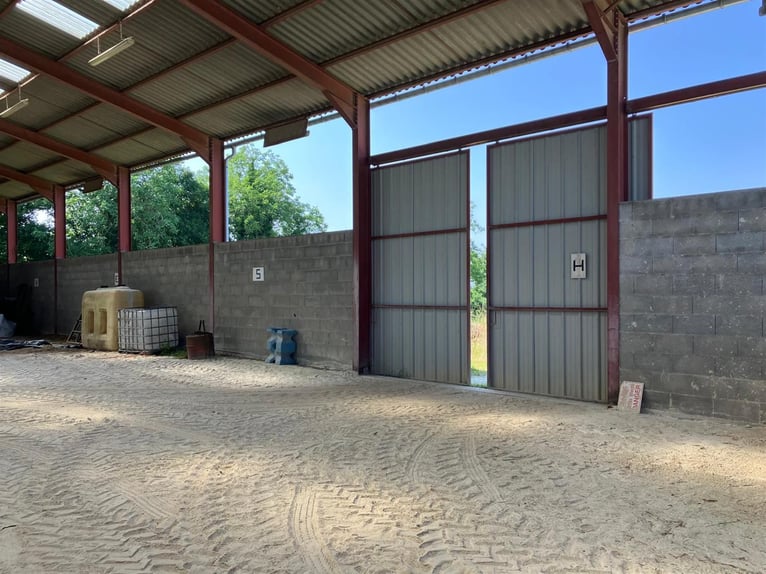 Equestrian property with great potential