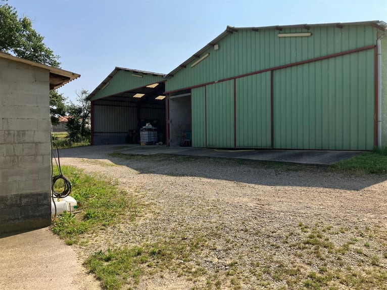 Equestrian property with great potential