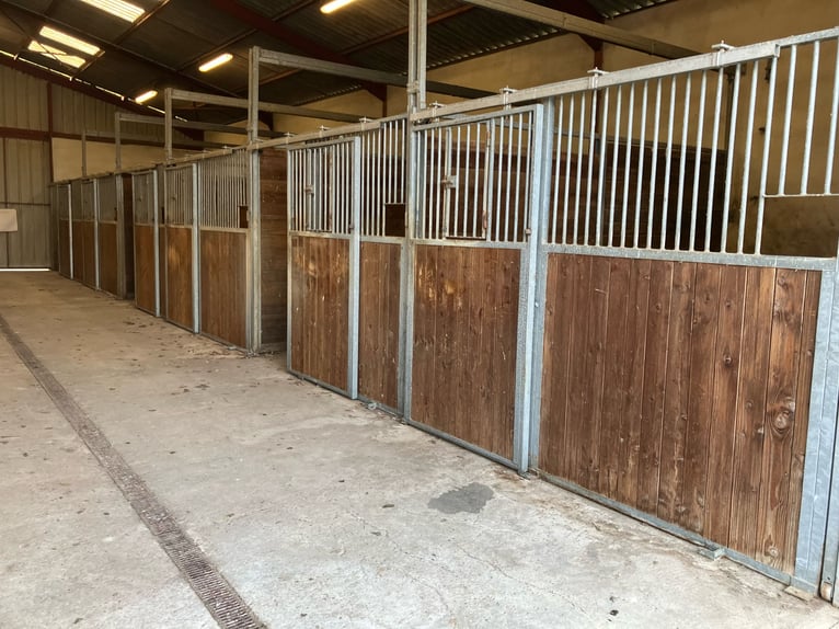 Equestrian property with great potential