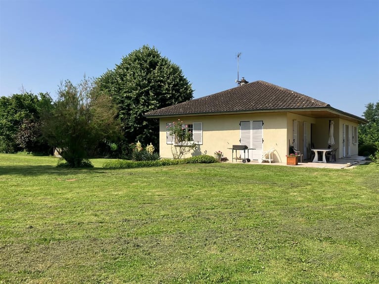 Equestrian property with great potential