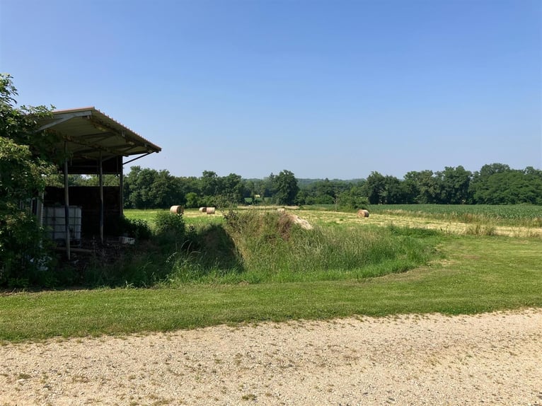 Equestrian property with great potential