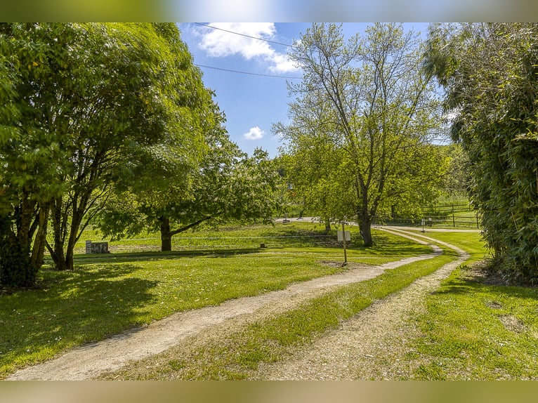 Equestrian property with numerous possibilities