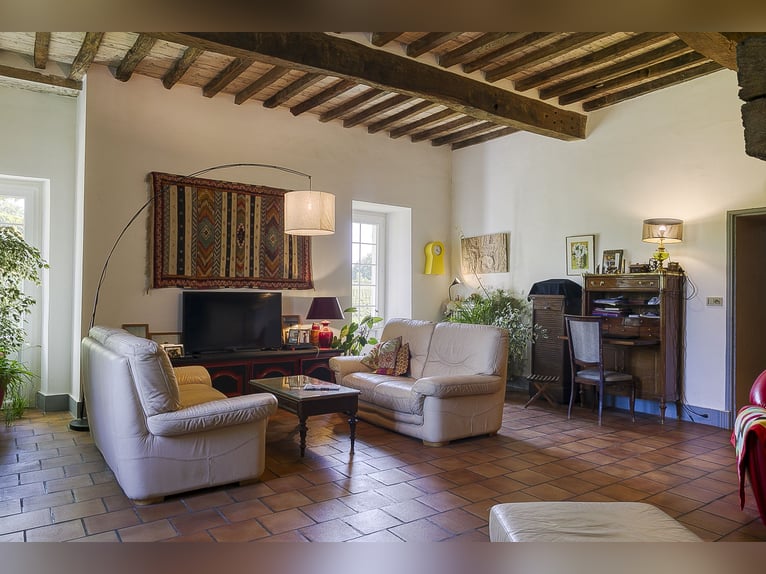 Equestrian property with numerous possibilities