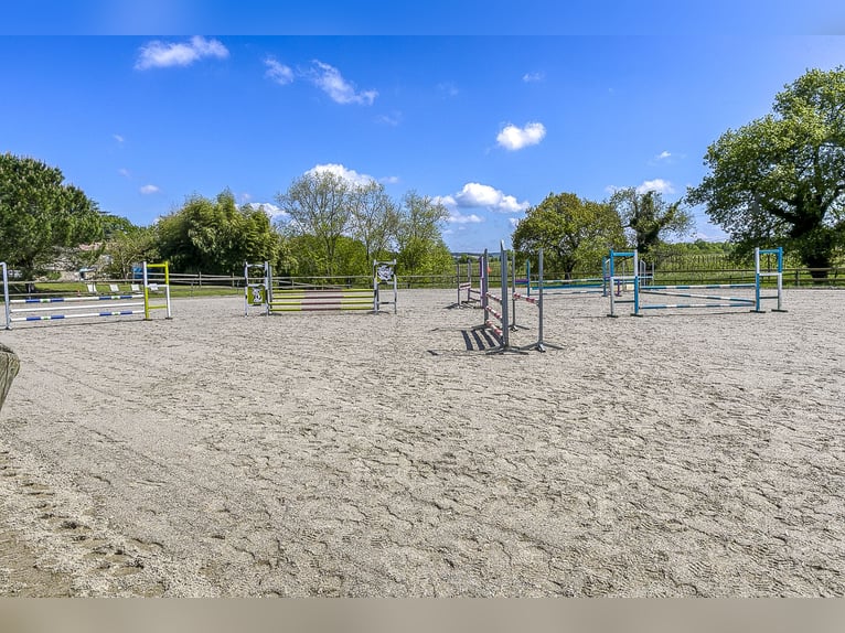 Equestrian property with numerous possibilities