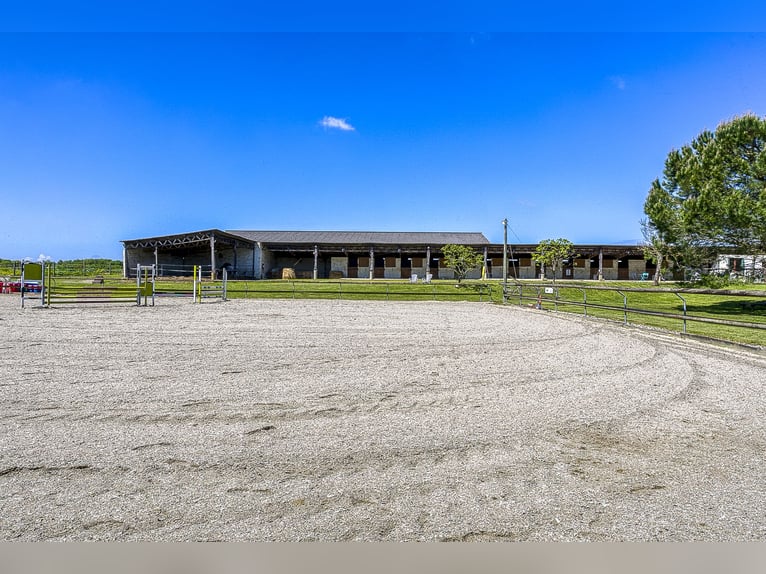 Equestrian property with numerous possibilities