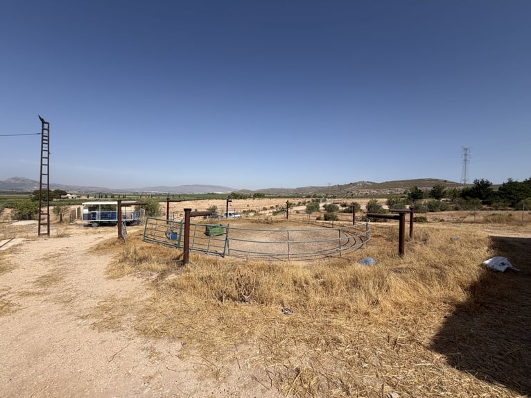 Equestrian property with residential development potential