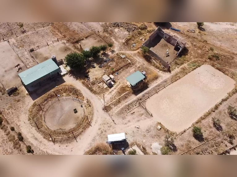 Equestrian property with residential development potential