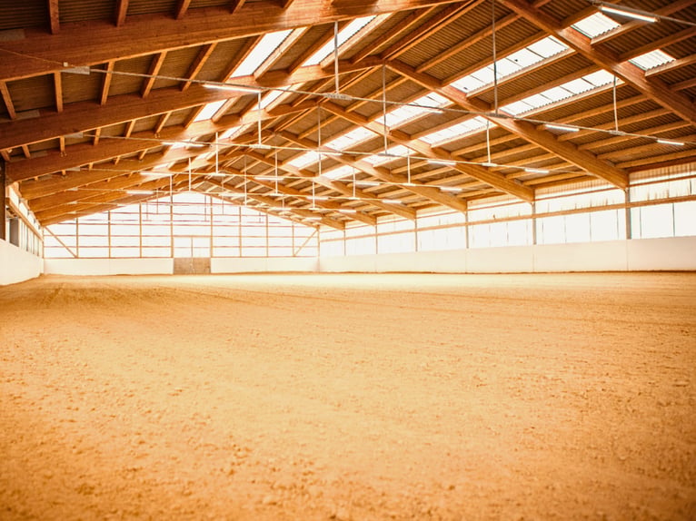 Equestrian Sports Facility for High-Level Competition in Franconia V14177 – No Commission