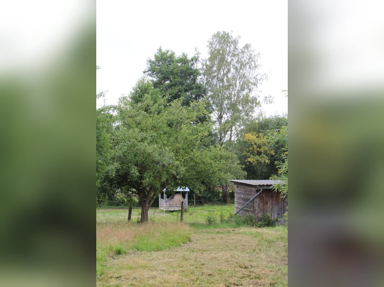 Established ranch and riding facility – approximately 8 hectares of well-shaped land – versatile use
