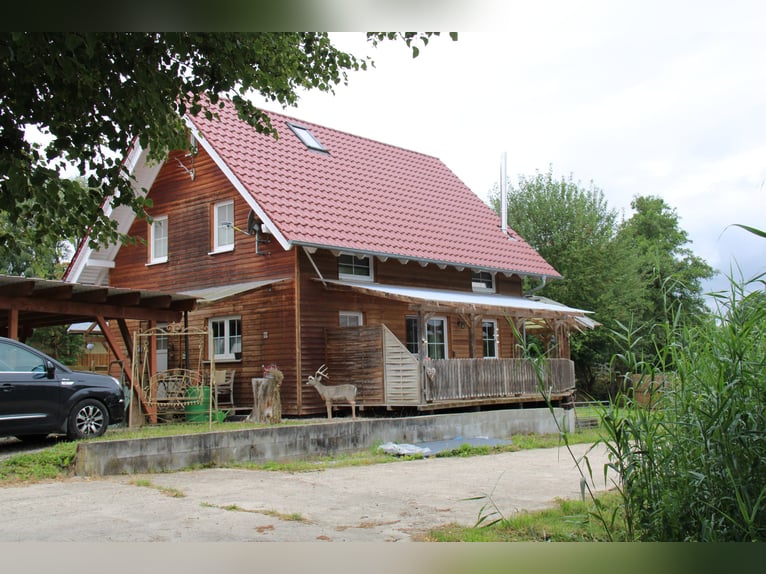 Established ranch and riding facility – approximately 8 hectares of well-shaped land – versatile use