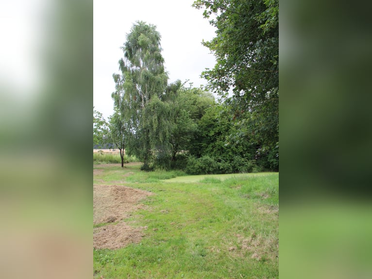 Established ranch and riding facility – approximately 8 hectares of well-shaped land – versatile use