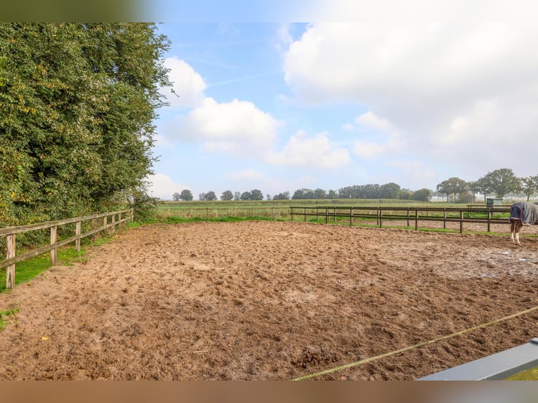 Estate with Professional Equestrian Facilities and Spacious Living Options