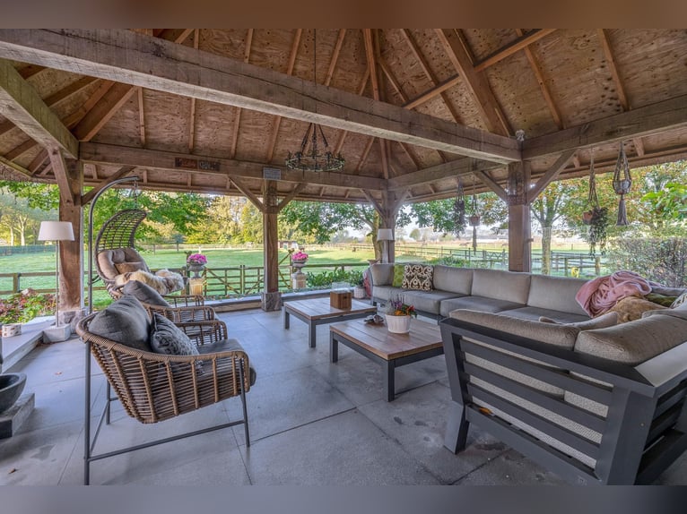 Estate with Professional Equestrian Facilities and Spacious Living Options