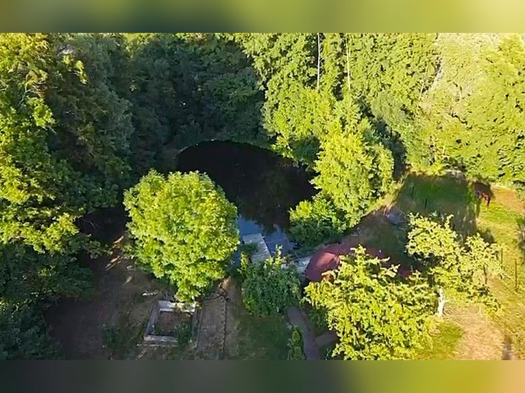 Exceptional listed estate for individualists. Perfect for equine keeping.