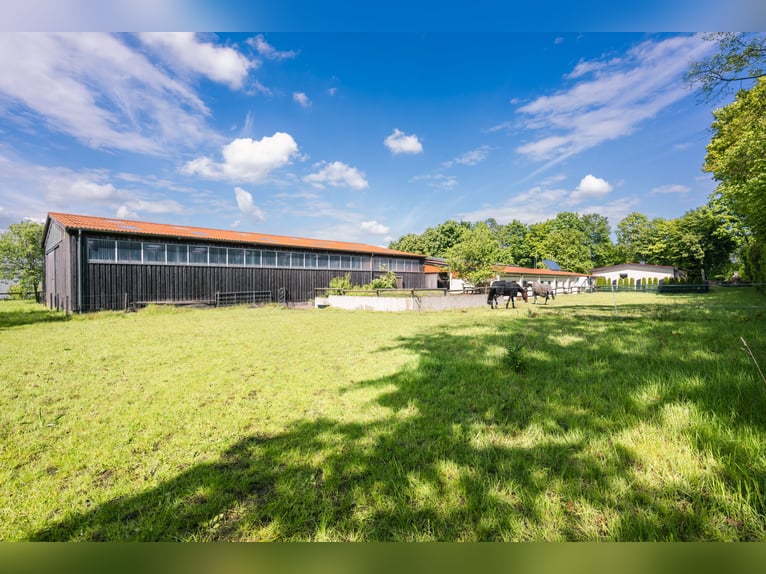 Exceptional riding facility