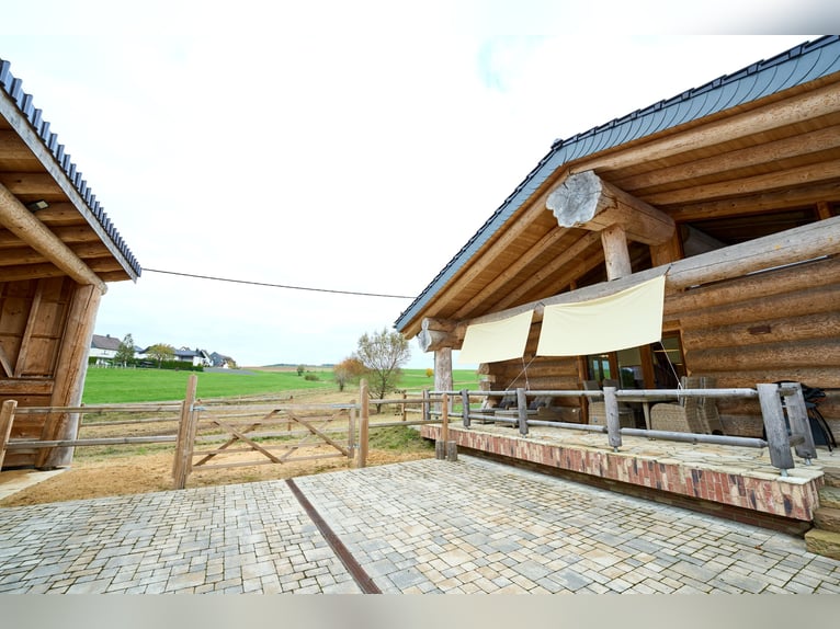 Exclusive equestrian estate nestled in the heart of the Eifel countryside