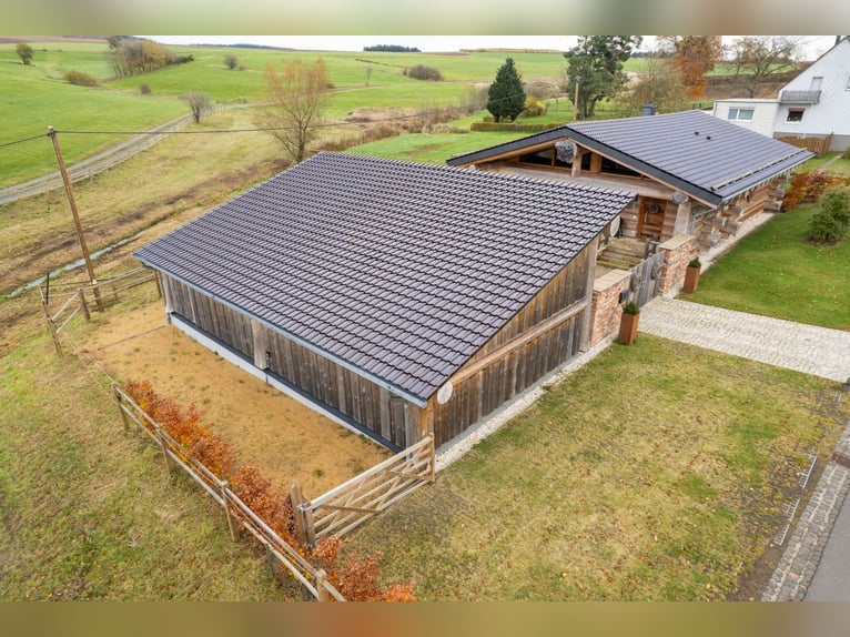 Exclusive equestrian estate nestled in the heart of the Eifel countryside