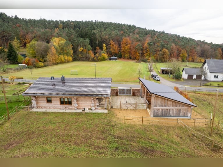 Exclusive equestrian estate nestled in the heart of the Eifel countryside