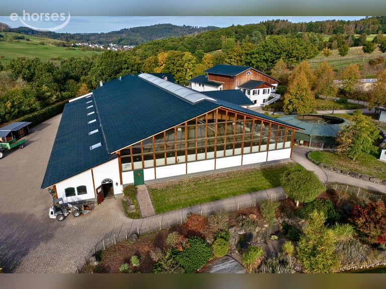 Exclusive equestrian facility with a detached house and two residential/guest houses on approximatel