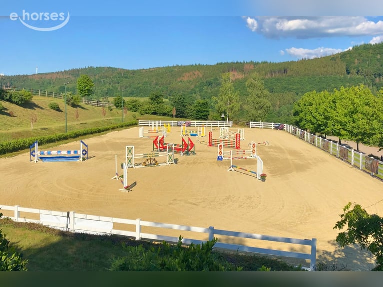 Exclusive equestrian facility with a detached house and two residential/guest houses on approximatel