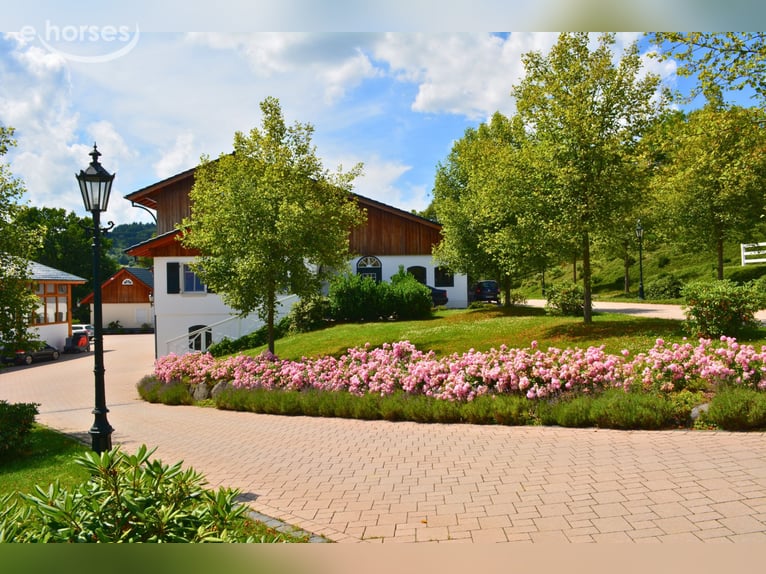 Exclusive equestrian facility with a detached house and two residential/guest houses on approximatel
